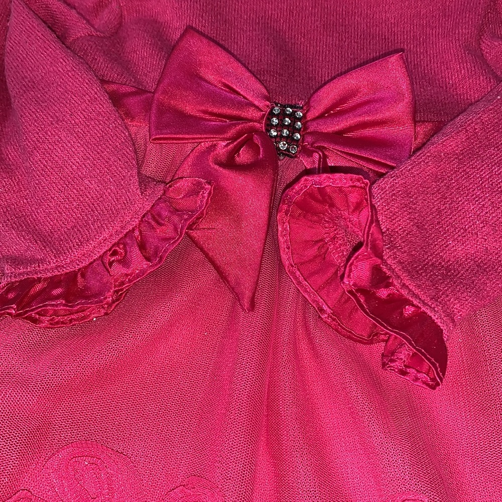 Sweet Heart Rose Baby Girl Pink Dress 18 mos Bow - Picture 9 of 17
